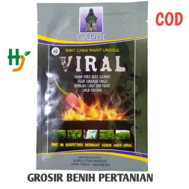 Benih Cabe Rawit Unggul VIRAL isi 10gram  - Toleran Virus & Patek  Bibit Cabe Unggul Viral Asli