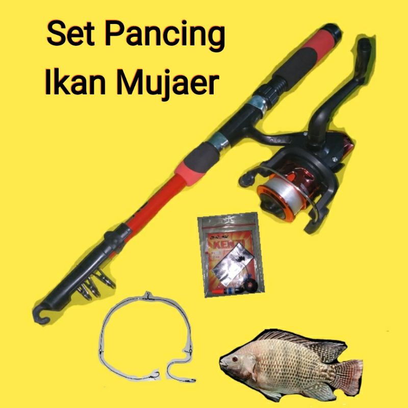 Set Pancing Ikan Mujaer