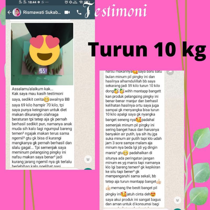 BPOM PELANGSING ZINESK HERBAL OBAT DIET ALAMI AMPUH TURUNKAN BB (BUSUI)