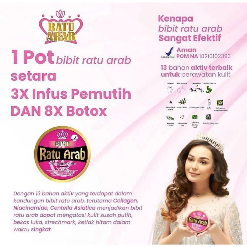 Bibit Ratu Arab Original 250 gr
