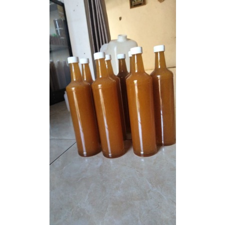 

madu tawon liar apis cerana