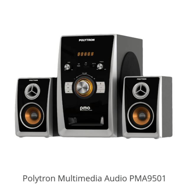 Polytron Multimedia Audio PMA9501