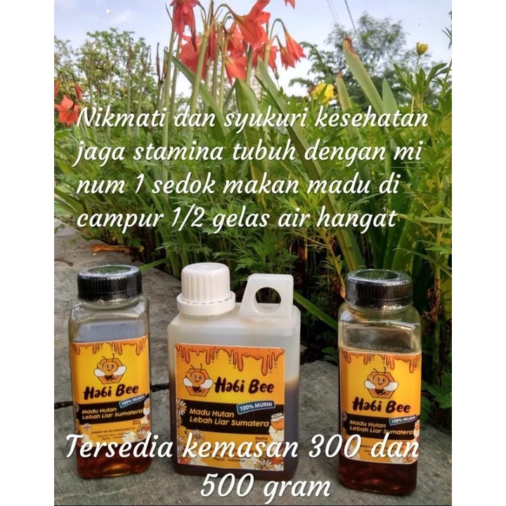 

Madu Hutan Lebah Liar Sumatera 100% ASLI 300 Gr