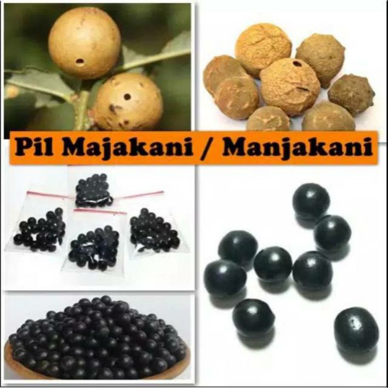 PIL VIRGIN MAJAKANI MURAH ORIGINAL isi 30butir