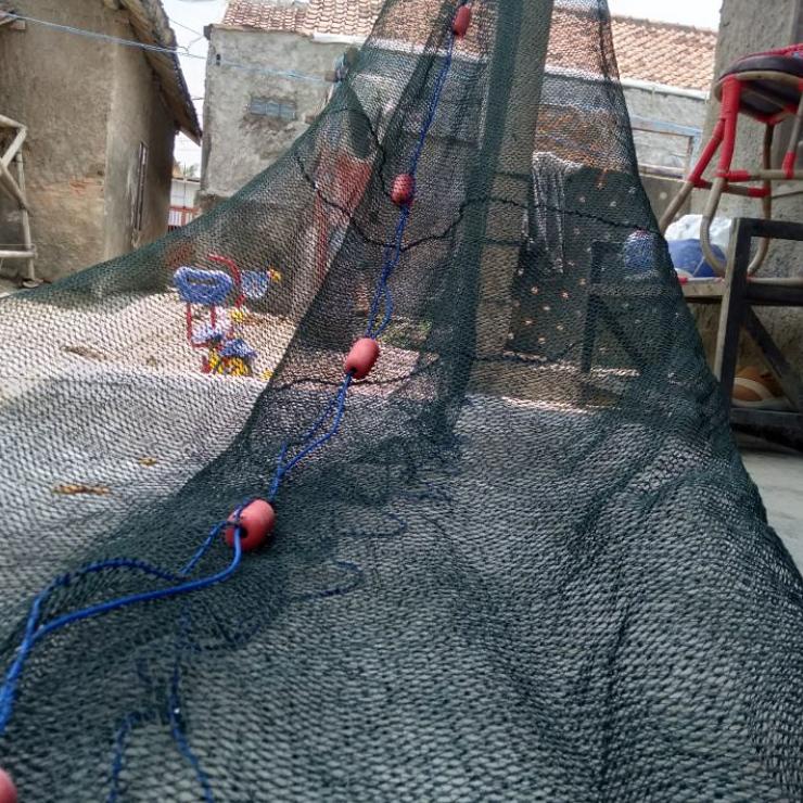 ID o5O9a-- jaring sekat kolam panen giring geret empang tambak ikan koi bandeng lele patin jaring PE