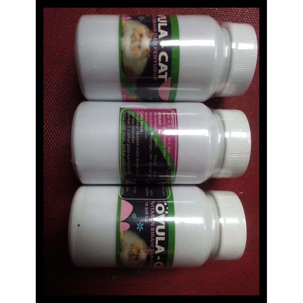 Obat Birahi Kucing - Ovula Cat Berkualitas