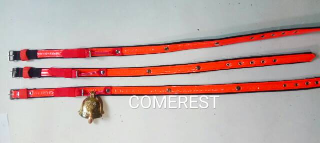 Kalung sapi 3cm lengkap lonceng scotlight.