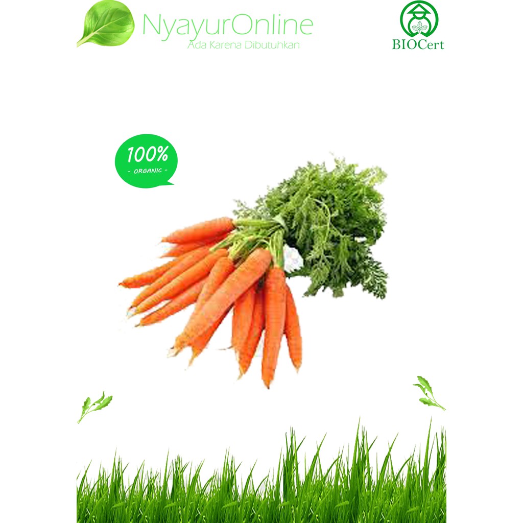 

wortel Baby Organik 500 gram