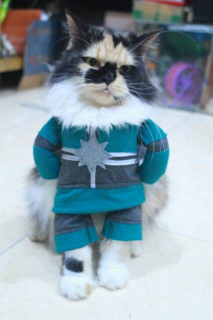 Kostum kapten marvel original model untuk kucing dan anjing / baju kucing murah size S M L XL