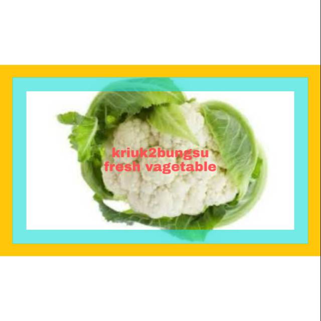 

Sayur kembang kol / Sayur Segar