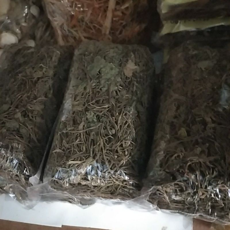 

pegagang kering kemasan ekonomis 50g