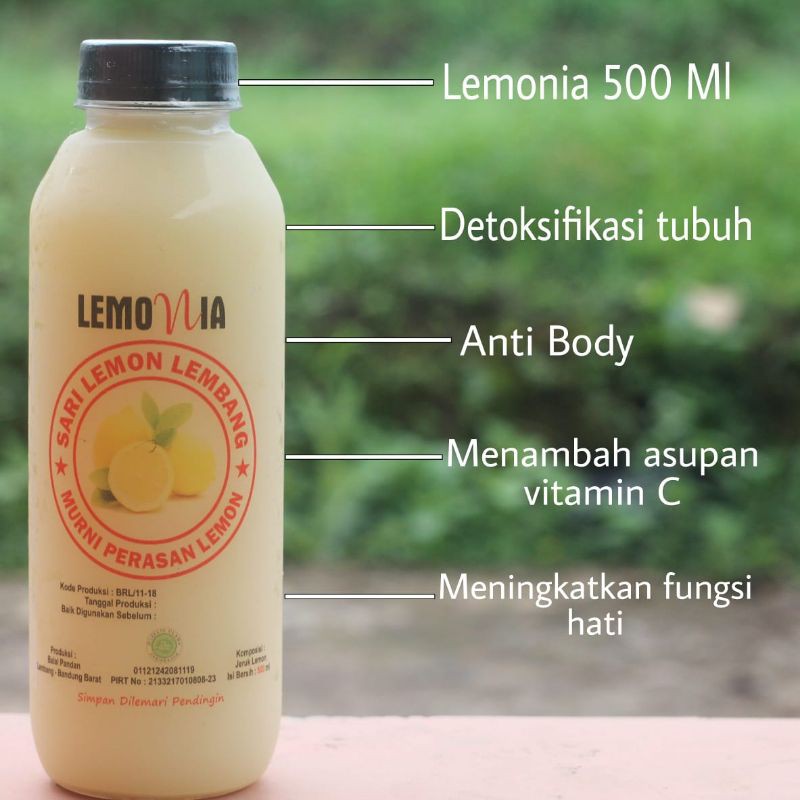 

RB22 Lemonia 500ml isi 2