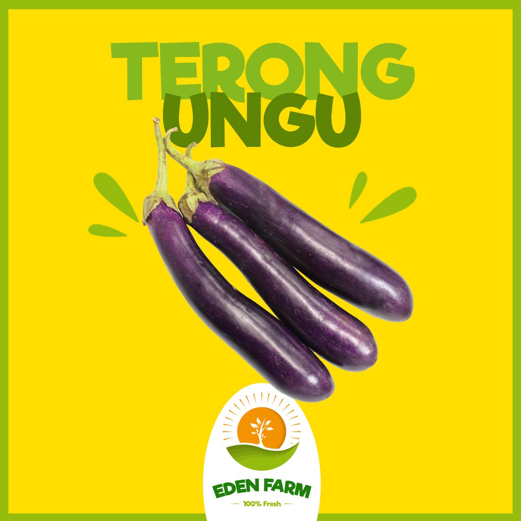 

PROMO TERONG UNGU - SAYUR BUAH MURAH 100% FRESH