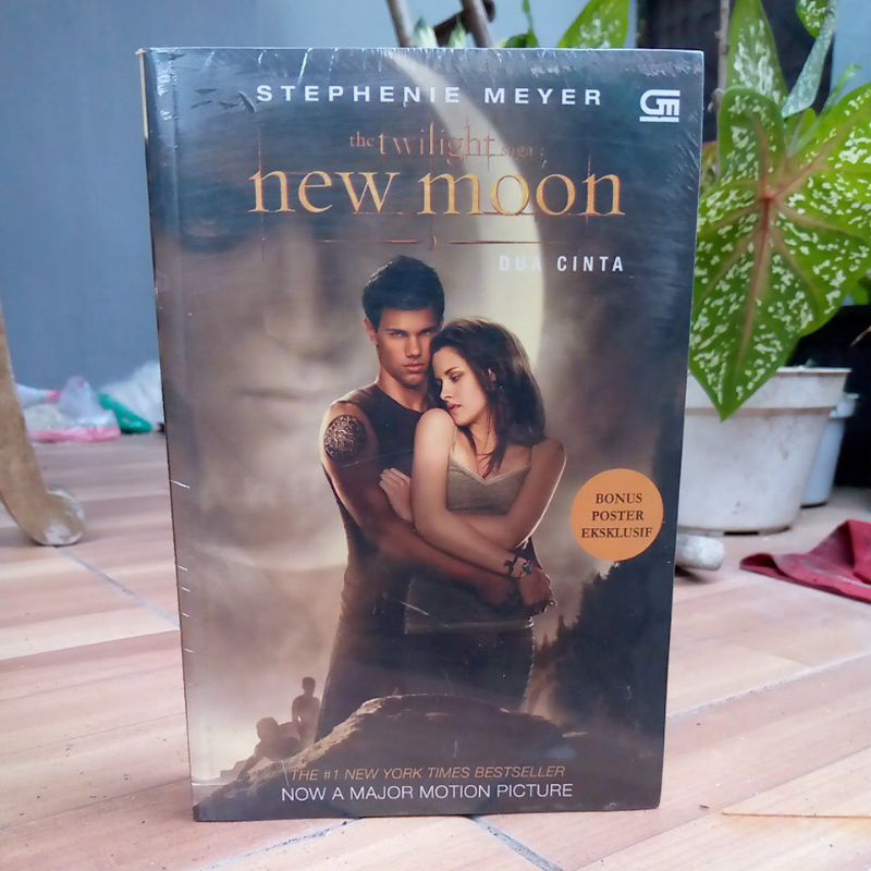 novel the twilight saga new moon