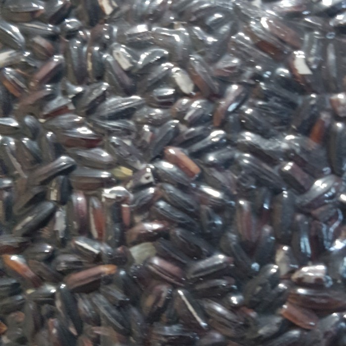 

KETAN-BERAS- KETAN HITAM MERK LINGKAR ORGANIK -BERAS-KETAN.