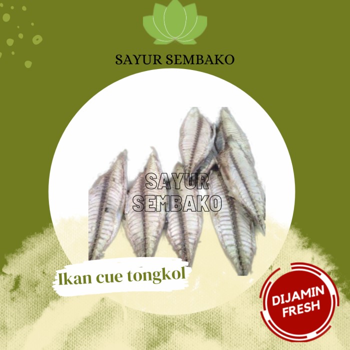 

Ikan Cuek Tongkol Potong Bersih
