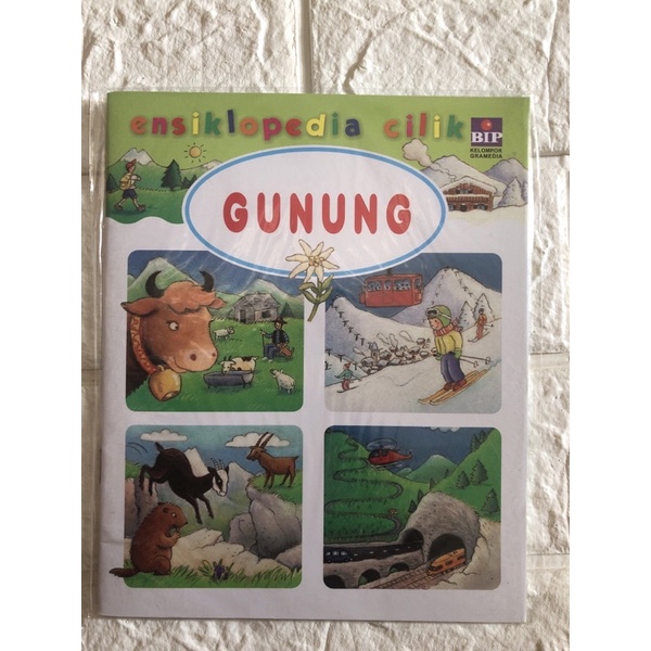 Ensiklopedia Cilik Gunung