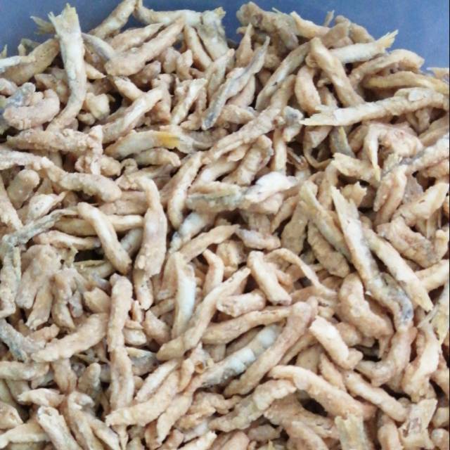 

Ikan Bulu Ayam (Bilis)