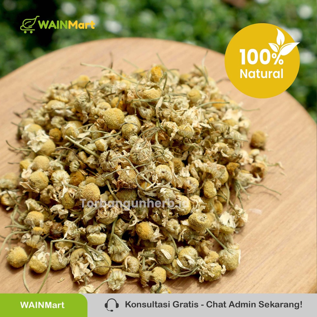 ANTI IMSOMNIA !!! Teh Celup Chamomile Herbal Relaksasi kaya akan Antioksidan