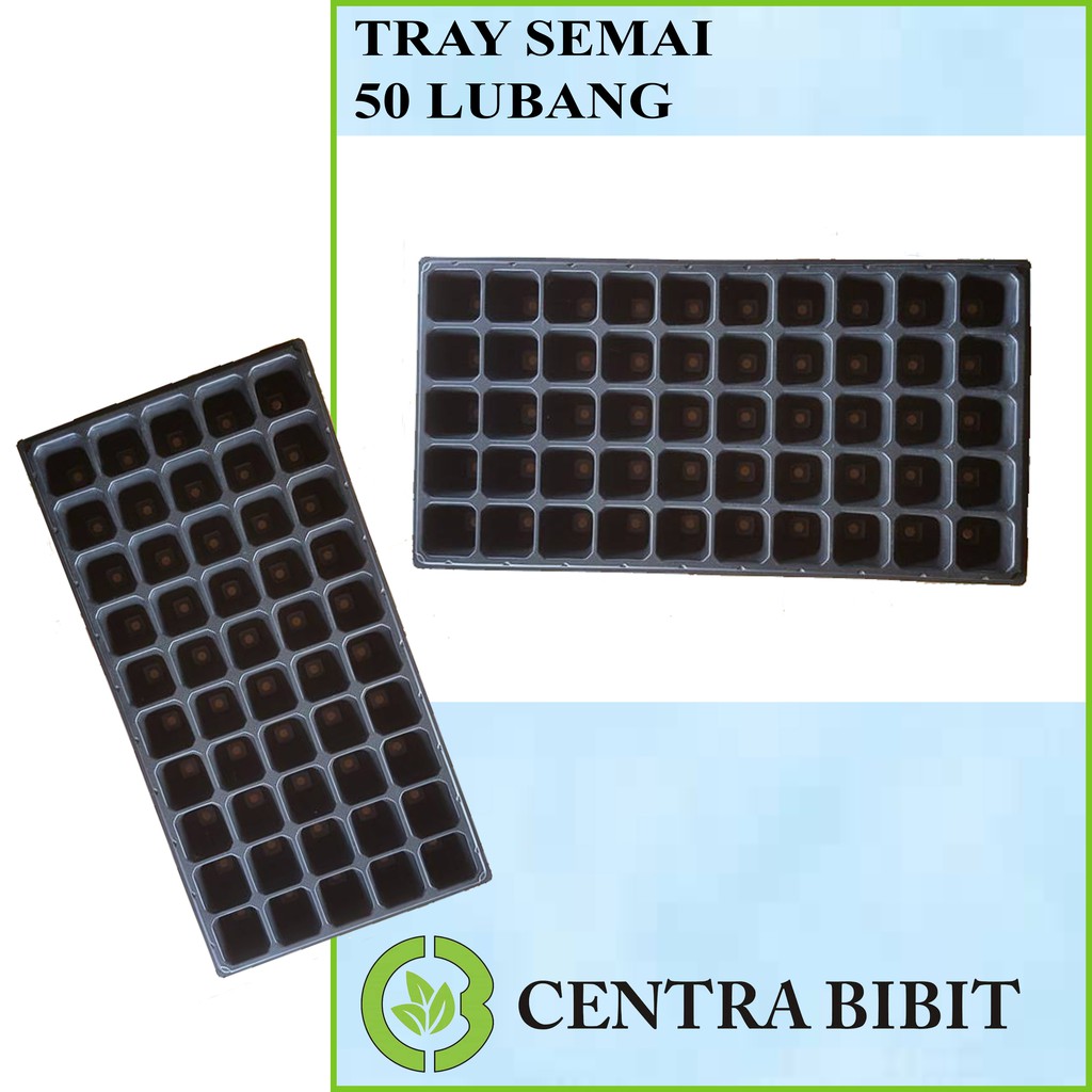 Tray Semai 50 Lubang