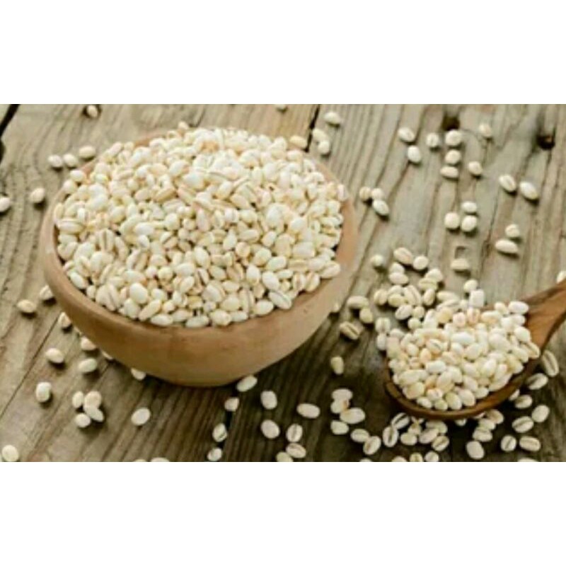 

Jali jali atau barley 500gr sehat berkhasiat