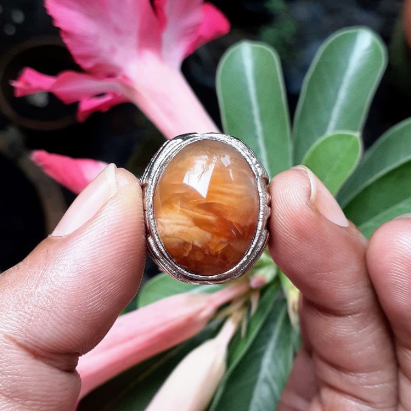 Batu Fosil Kayu Kristal Sisik Pandan