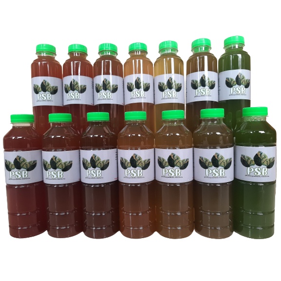 Pupuk PSB (Photosintesis Bacteria)
