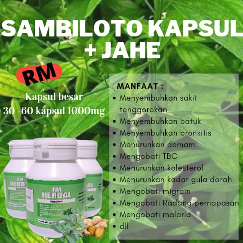 RM HERBAL SAMBILOTO + JAHE KAPSUL || SAMBILOTO KAPSUL MURAH DAUN SAMBILOTO