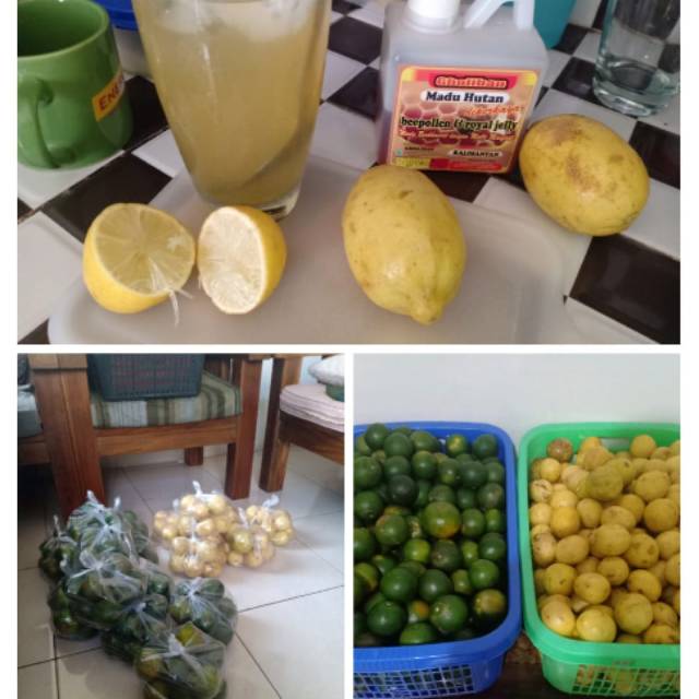 

Jeruk peras dan jeruk lemon