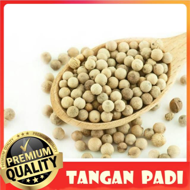 

Lada / merica bulat 100gr kualitas baik