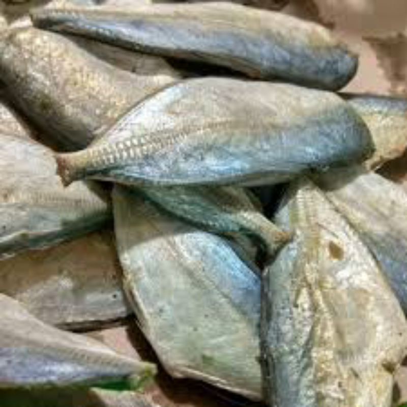 Ikan Asin Peda Buntung (Datung)