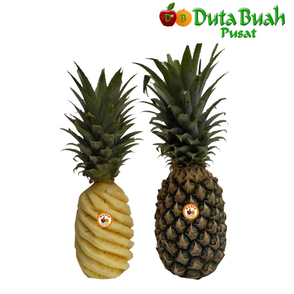 

DUTA BUAH NANAS PALEMBANG (600G-1KG/PCS)