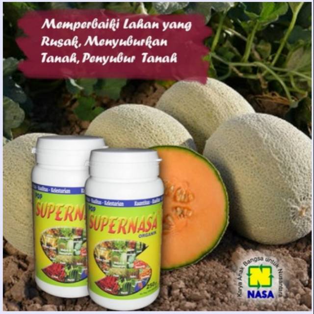 Supernasa