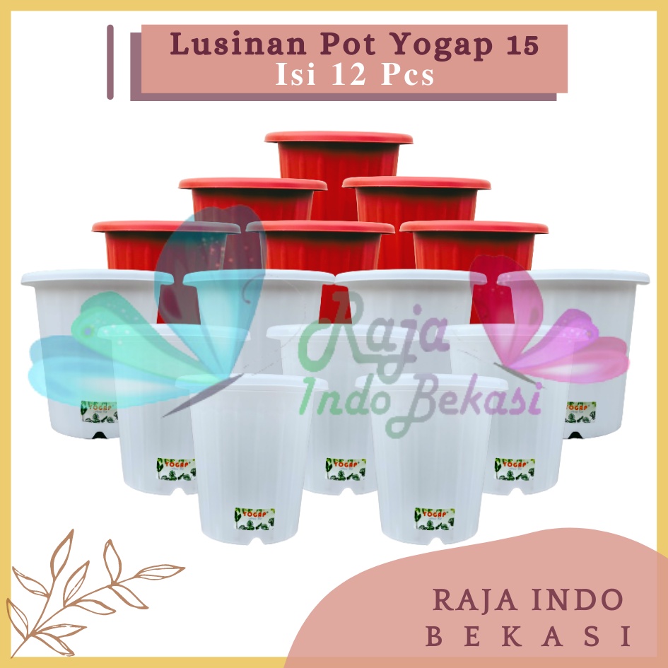 LUSINAN Pot Yogap 15 Putih Transparan Bening Merah Bata Coklat Teraccotta Isi 12 pcs Pot Yogap 10 13 15 17 18 19 25 Pot Yogap Bening LUSINAN POT YOGAP MURAH