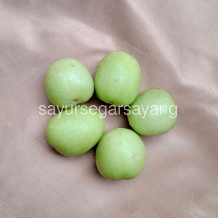 

Tomat Hijau 500gr