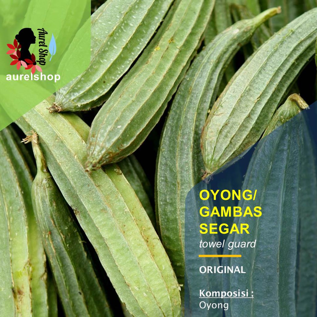

Oyong Gambas Segar kemasan 1 kg