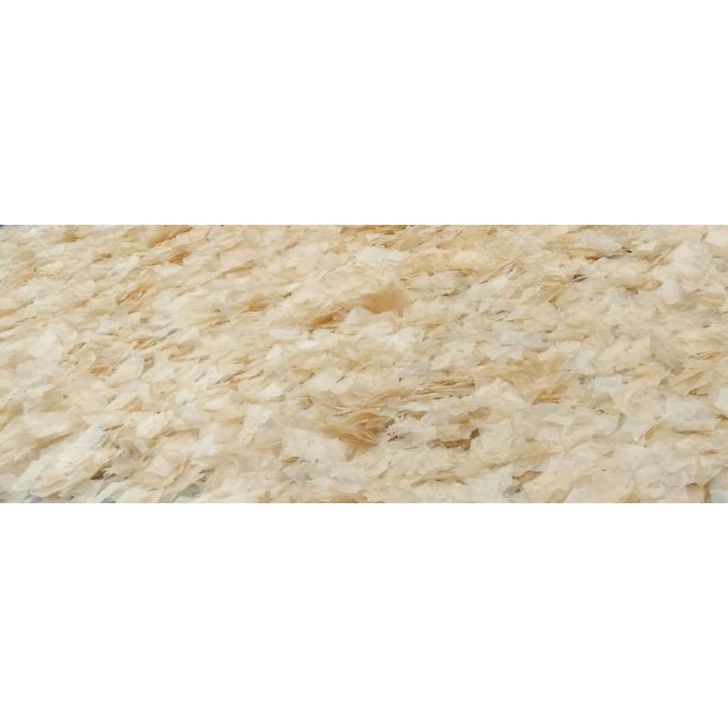 

Bahan baku Keripik beling (1kg)