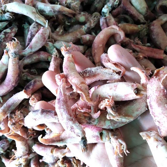 

CUMI ASIN SUPER 10KG KERING