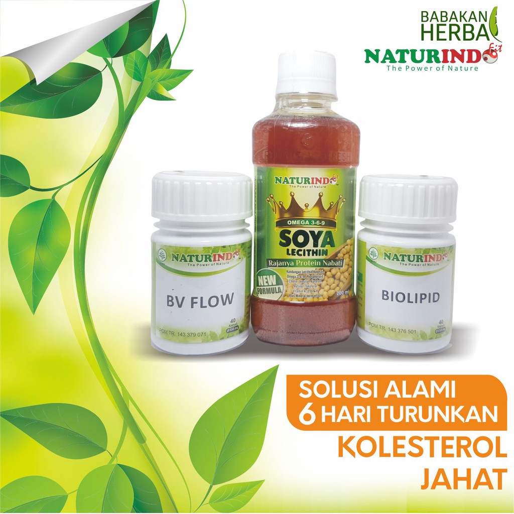 

Naturindo Obat Herbal Menurunkan Kolesterol Secara Cepat Babakan Herbal