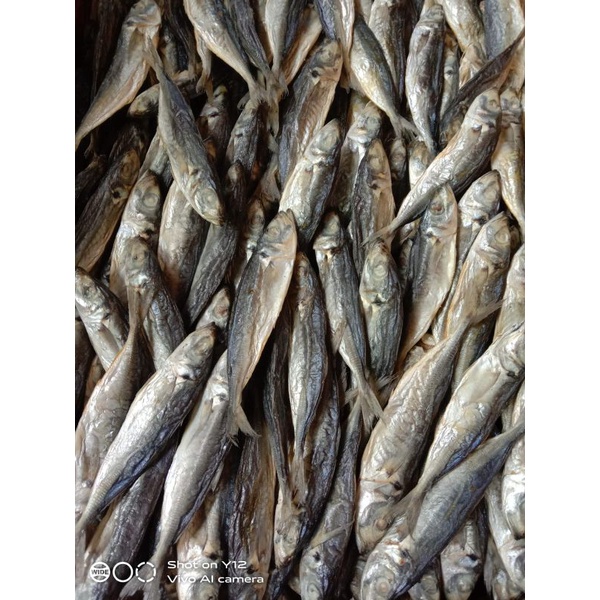 

ikan asin ogak 250gr