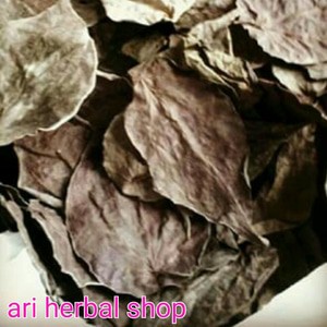 

sirih merah kering 1000 gram