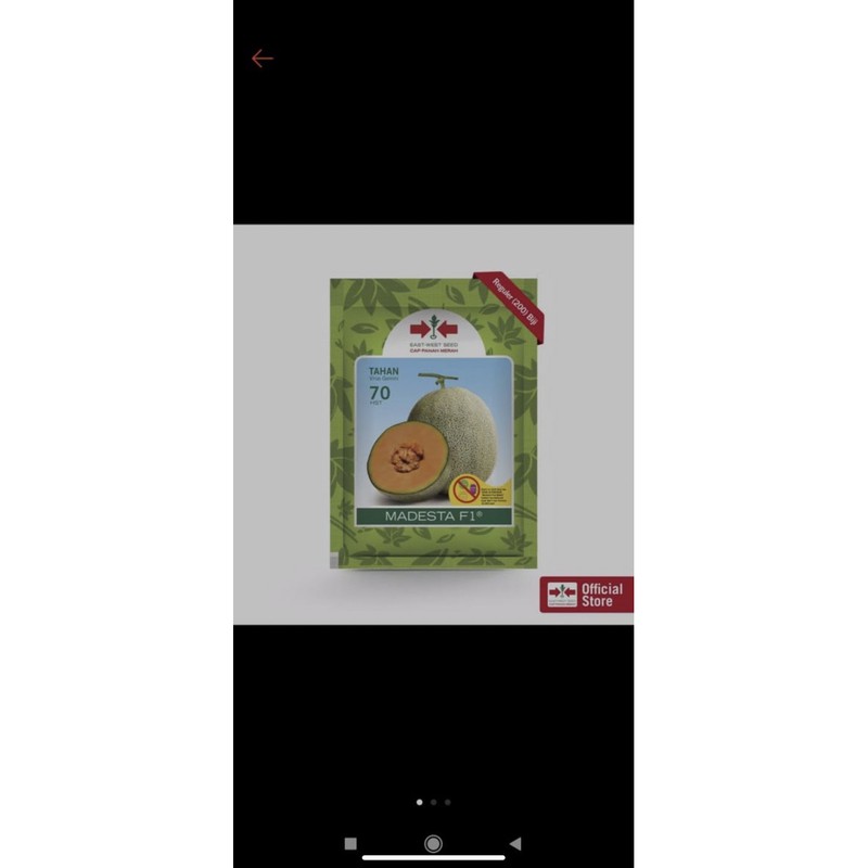 bibit melon madesta f1 isi 400 biji