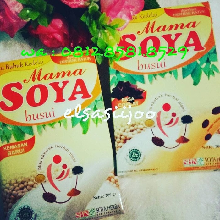 

Paket LANCAR ASI 2 Mama Soya dan 1 Afis kacang hijau