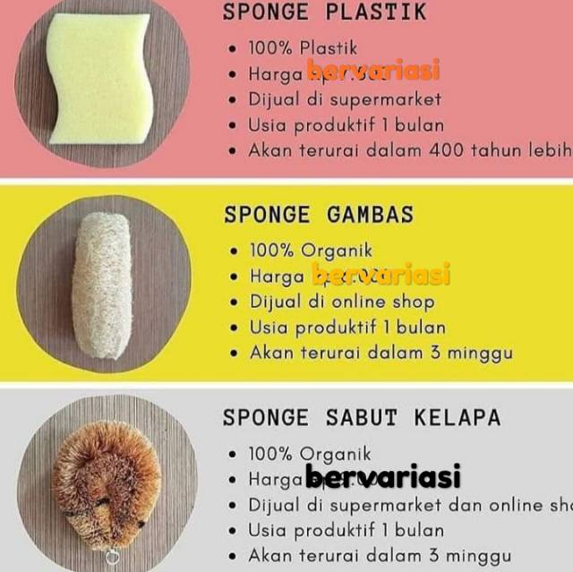 Loofah Spons Mandi Cuci Piring Serat Oyong Gambas Utuh Herbal Natural