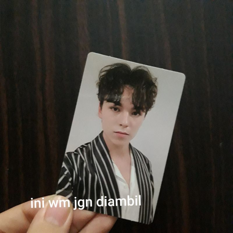 Pc an ode truth vernon the8 (minghao)
