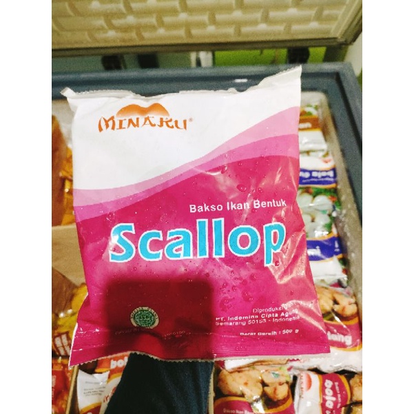 

scallop minaku 500