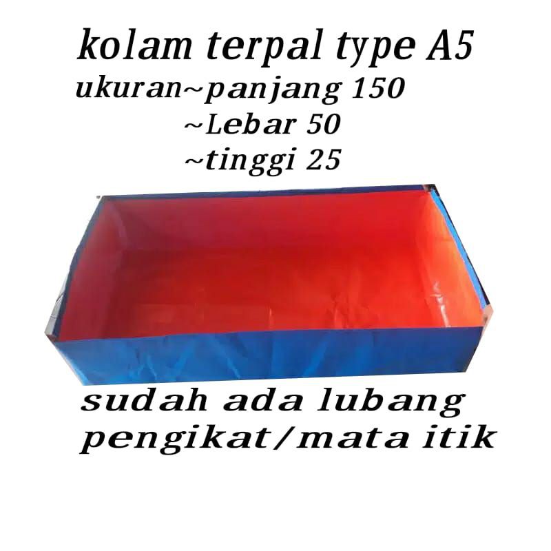 kolam terpal mini ukuran 150×50×25
