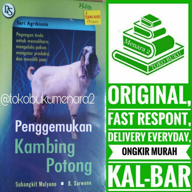 

Penggemukan Kambing Potong