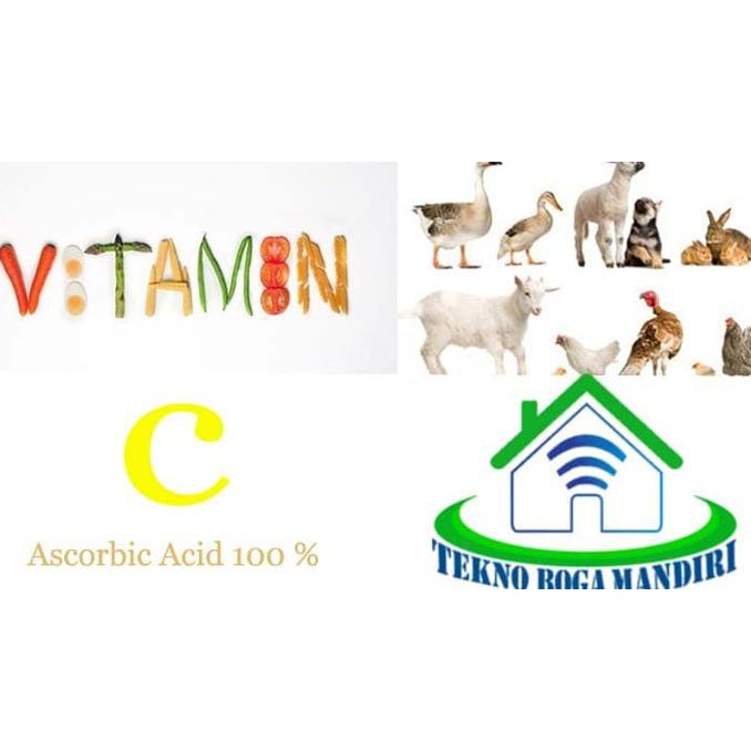 Produk Terkini Vitamin C Untuk Ayam Burung Hewan Peliharaan