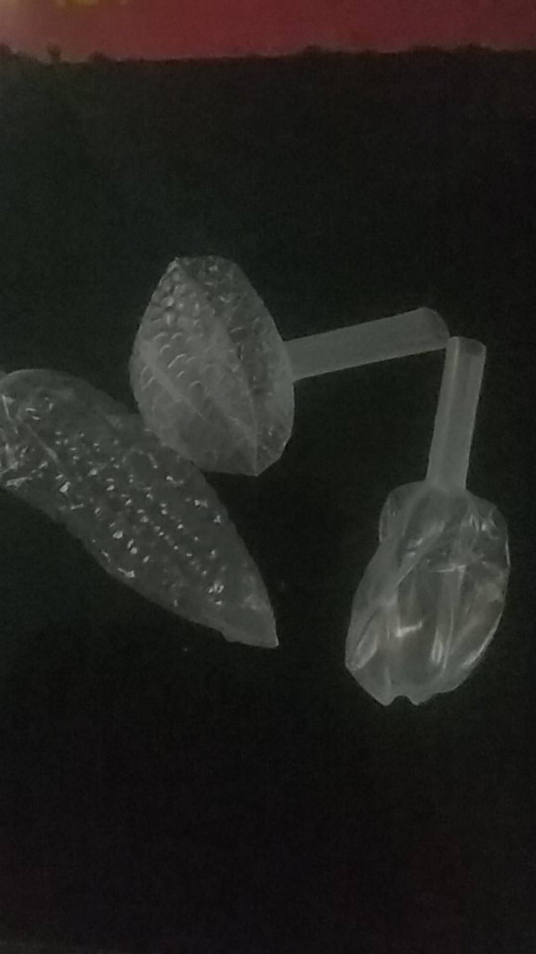 Plastik Buah Pudot 30 Ml